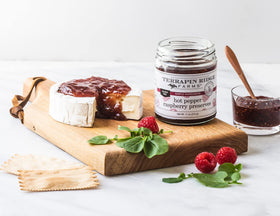 Terrapin Ridge Hot Pepper Raspberry Preserves serving suggestion over bagels with cream cheese.