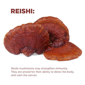 Terrasoul ingredients graphic showing mushrooms, coconut creamer, and MCT oil