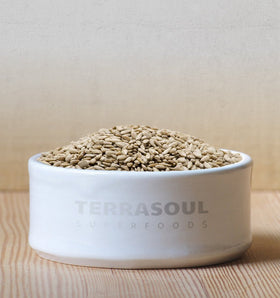 Terrasoul family-owned brand demonstrates ethical sourcing and fresh harvests.