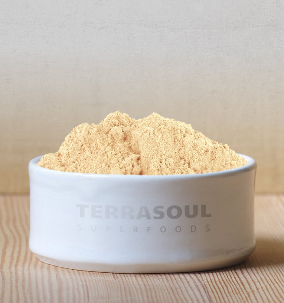 Terrasoul Ginger Powder on a spoon demonstrates easy measuring for recipes.