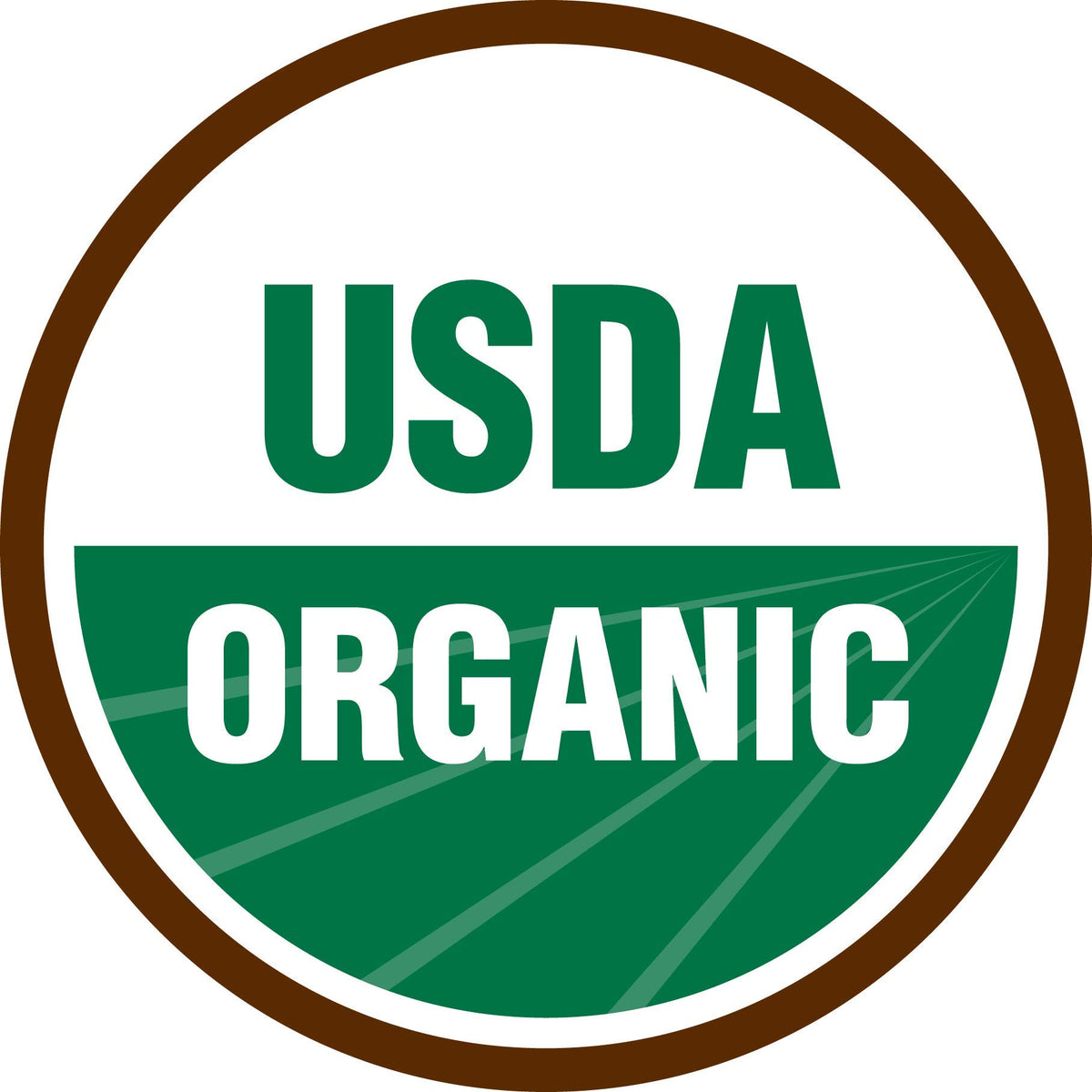 Terrasoul Matcha Latte packaging, highlighting organic and non-GMO quality