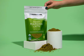 Terrasoul Matcha Latte measuring spoon, quick portions for consistent flavor