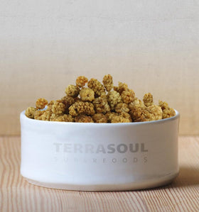 Terrasoul mulberries snack bowl scene emphasizes smoothie booster potential.