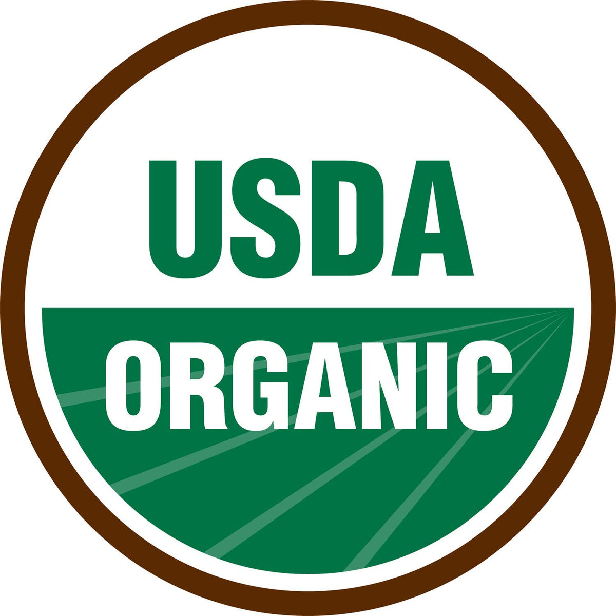 Terrasoul organic cashews close-up highlighting quality and texture.