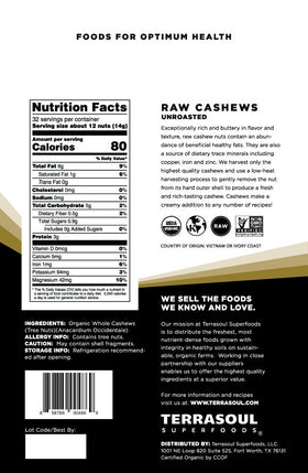 Terrasoul raw cashews snack-ready close-up showing buttery texture.