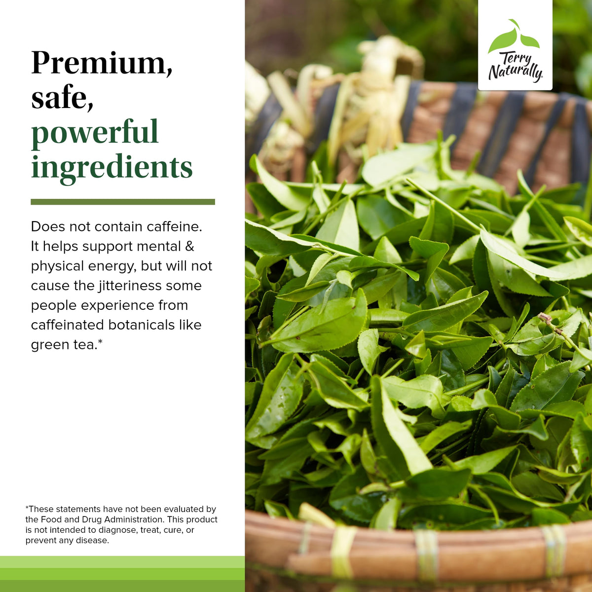 Terry Naturally GMT23 label side shows gluten-free and dairy-free ingredients.