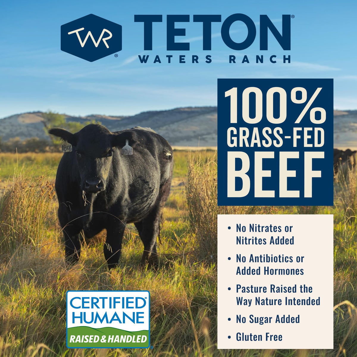 Teton Waters Ranch frozen burger patties, grill ready.