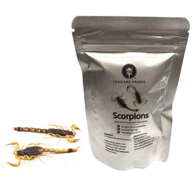 Thailand Unique Armor Tail Scorpions bag closed, ready for adventurous snacking