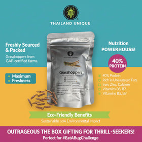 Thailand Unique grasshoppers 15g pouch, portable eco-friendly protein source