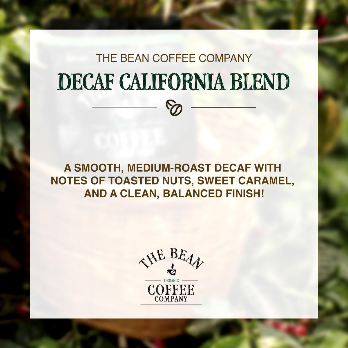 Close-up of The Bean California Blend whole-bean quality texture