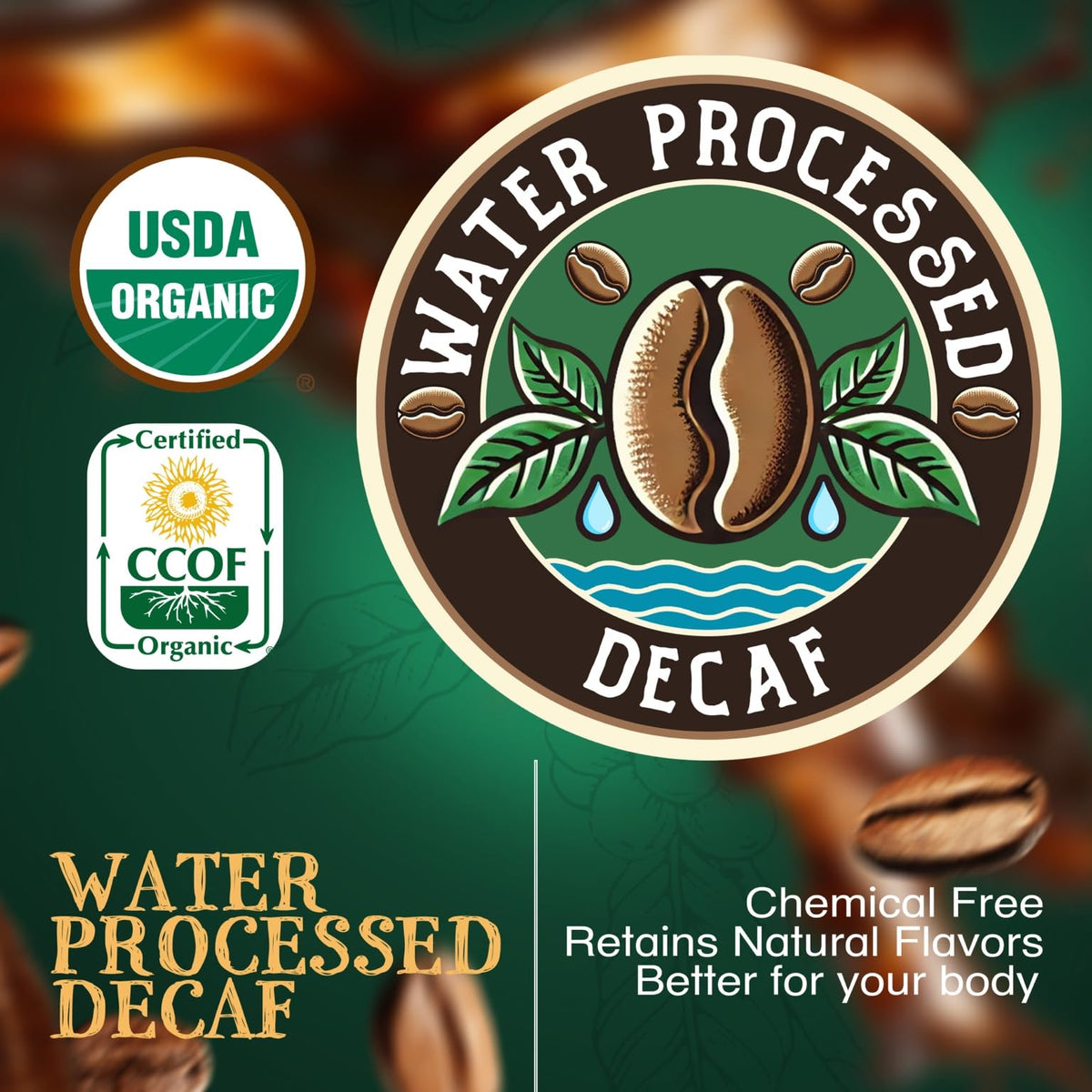 Close-up of glossy Le Bean dark roast grounds for rich texture