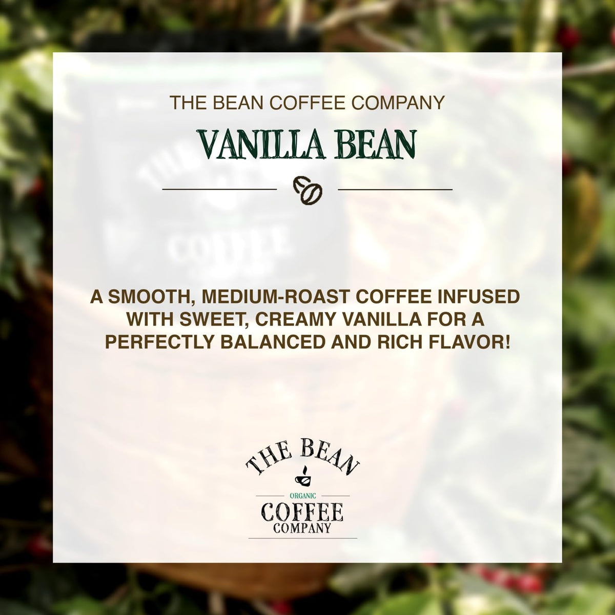 The Bean Organic Coffee certified organic beans and flavoring.
