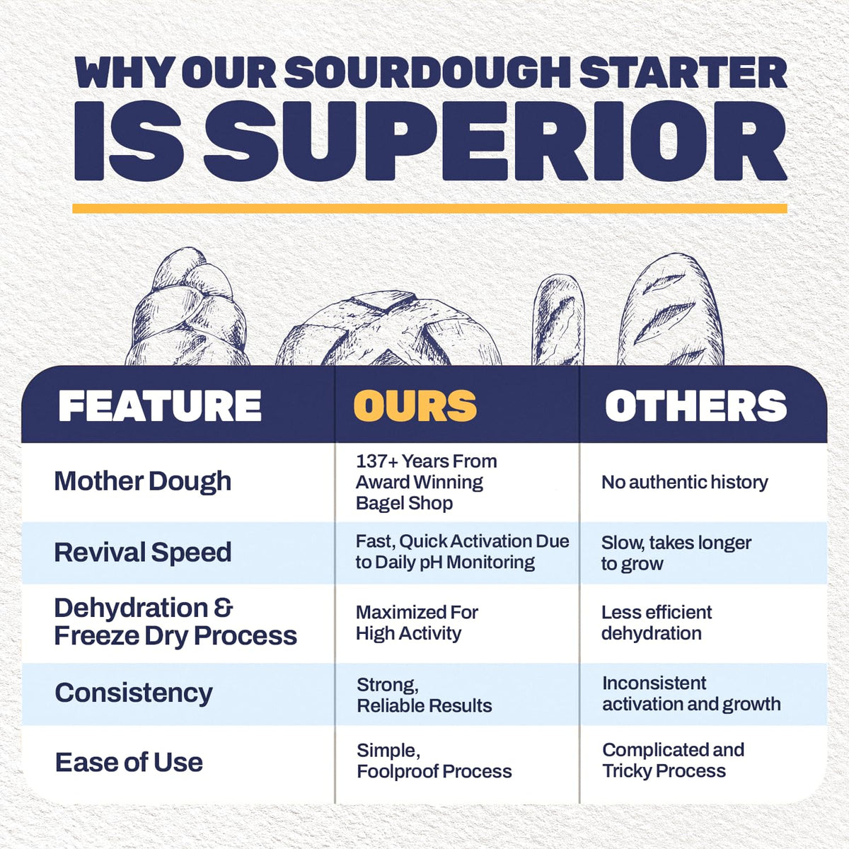 The Blue House Bagel Co freeze-dried starter revives quickly with minimal effort