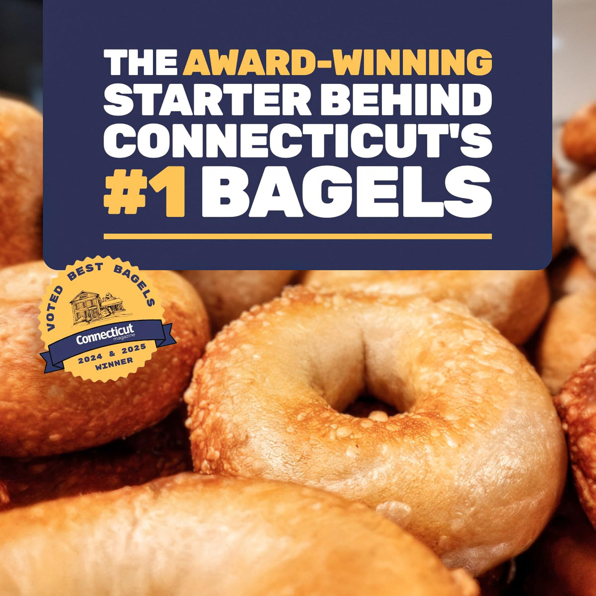 The Blue House Bagel Co gluten-sensitive starter supports gluten-aware baking