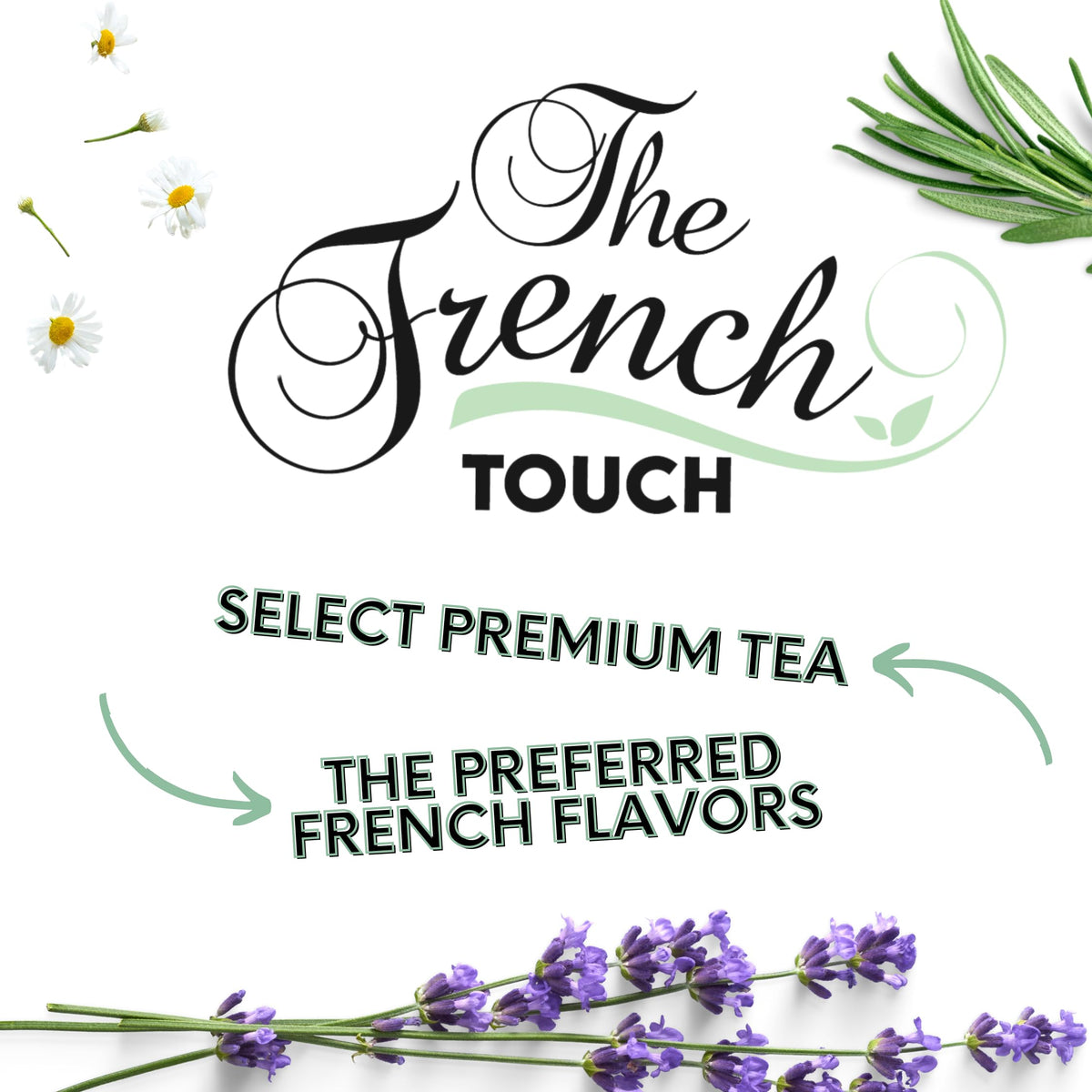 Close-up of The French Touch Lemon Verbena leaves reveals natural textures and aroma.