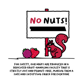The FROOT Thief Mango Whips produced in nut-free facility for safety