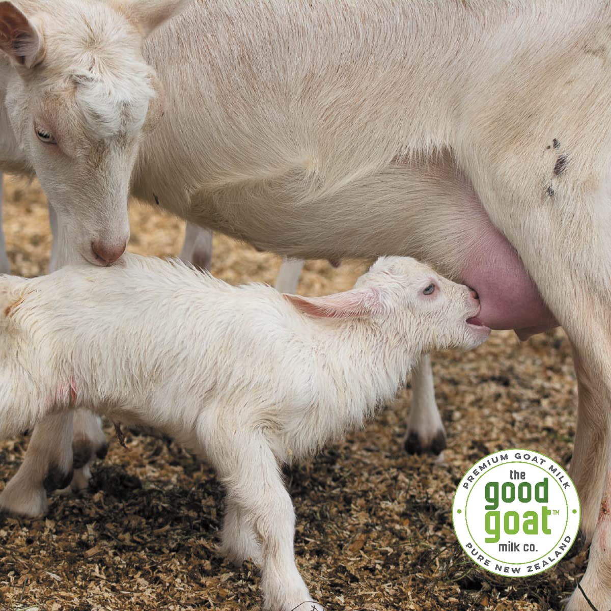 The Good Goat Milk Company creamy milk in a bowl suggests family-friendly meal possibilities.