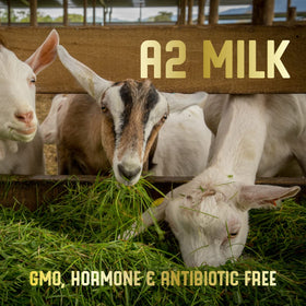 The Good Goat Milk Company goats in pasture highlight outdoor-raised nutrition.