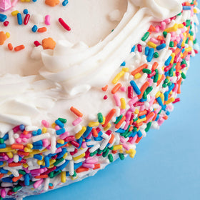 The Hampton Candy Company rainbow sprinkles for parties add festive sparkle.
