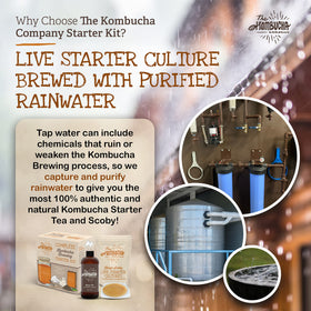 The Kombucha Company acid-range pH test strip helps monitor acidity.