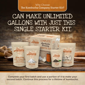 The Kombucha Company brewing jar with cloth cover enables safe fermentation.