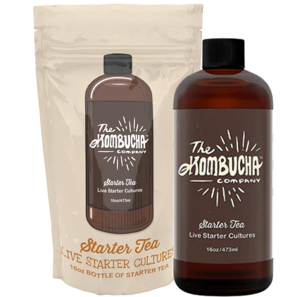 The Kombucha Company bottle for easy 1-gallon batches