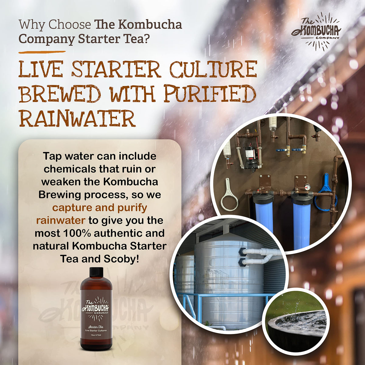 The Kombucha Company natural-probiotic-source highlights live cultures