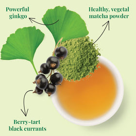 The Republic of Tea Brain Boost SuperGreen leaves showcase vibrant matcha and ginkgo.
