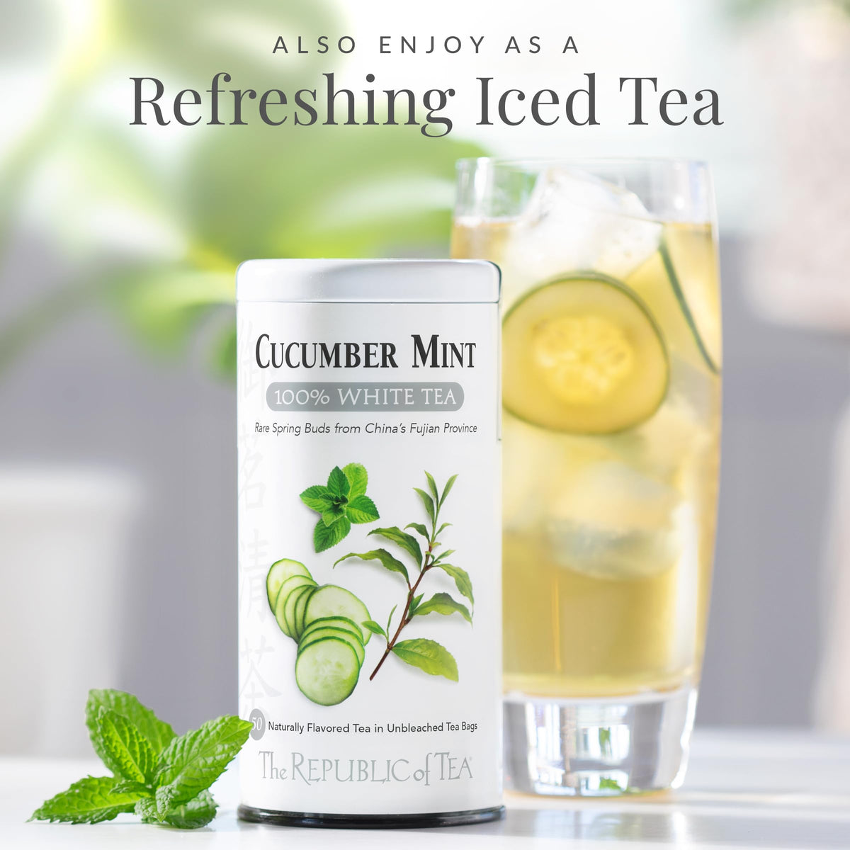 The Republic of Tea cucumber mint white tea bag close-up highlights spearmint notes
