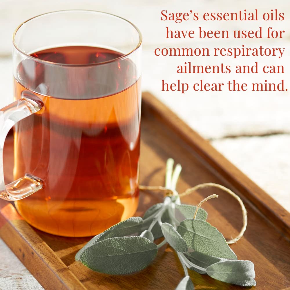 The Republic of Tea Desert Sage steeping cup with warm infusion and desert-inspired aroma.