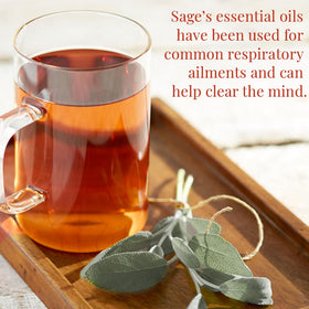 The Republic of Tea Desert Sage steeping cup with warm infusion and desert-inspired aroma.