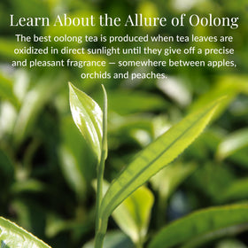 The Republic of Tea Double Milk Oolong label close-up highlights premium blend