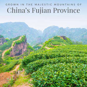 Emperor's White Tea packaging closeup highlighting 100 percent white tea and Fujian origin.