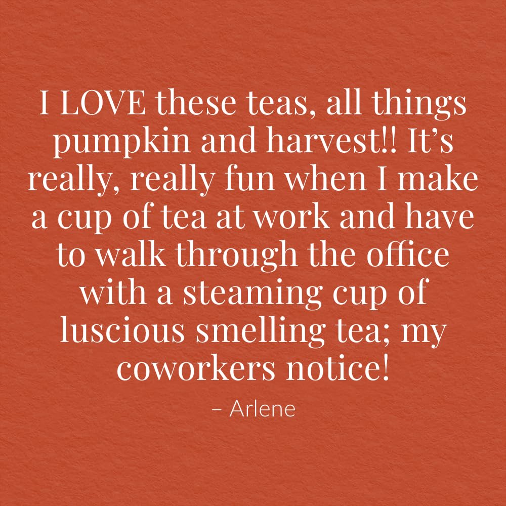 The Republic of Tea Hot Apple Cider Herbal tea bag, cozy seasonal flavor.