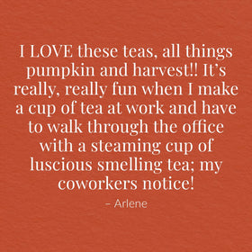 The Republic of Tea Hot Apple Cider Herbal tea bag, cozy seasonal flavor.