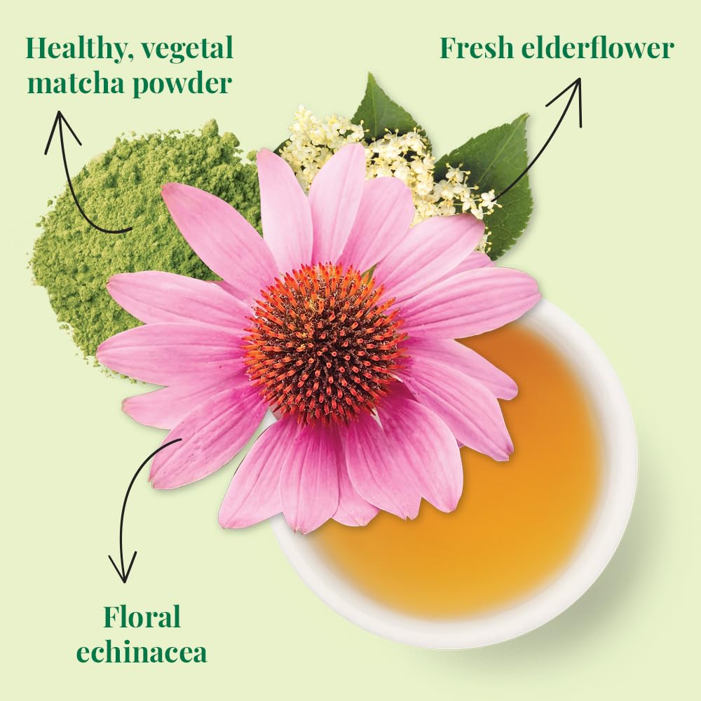 The Republic of Tea Immunity SuperGreen cup releasing fragrant steam