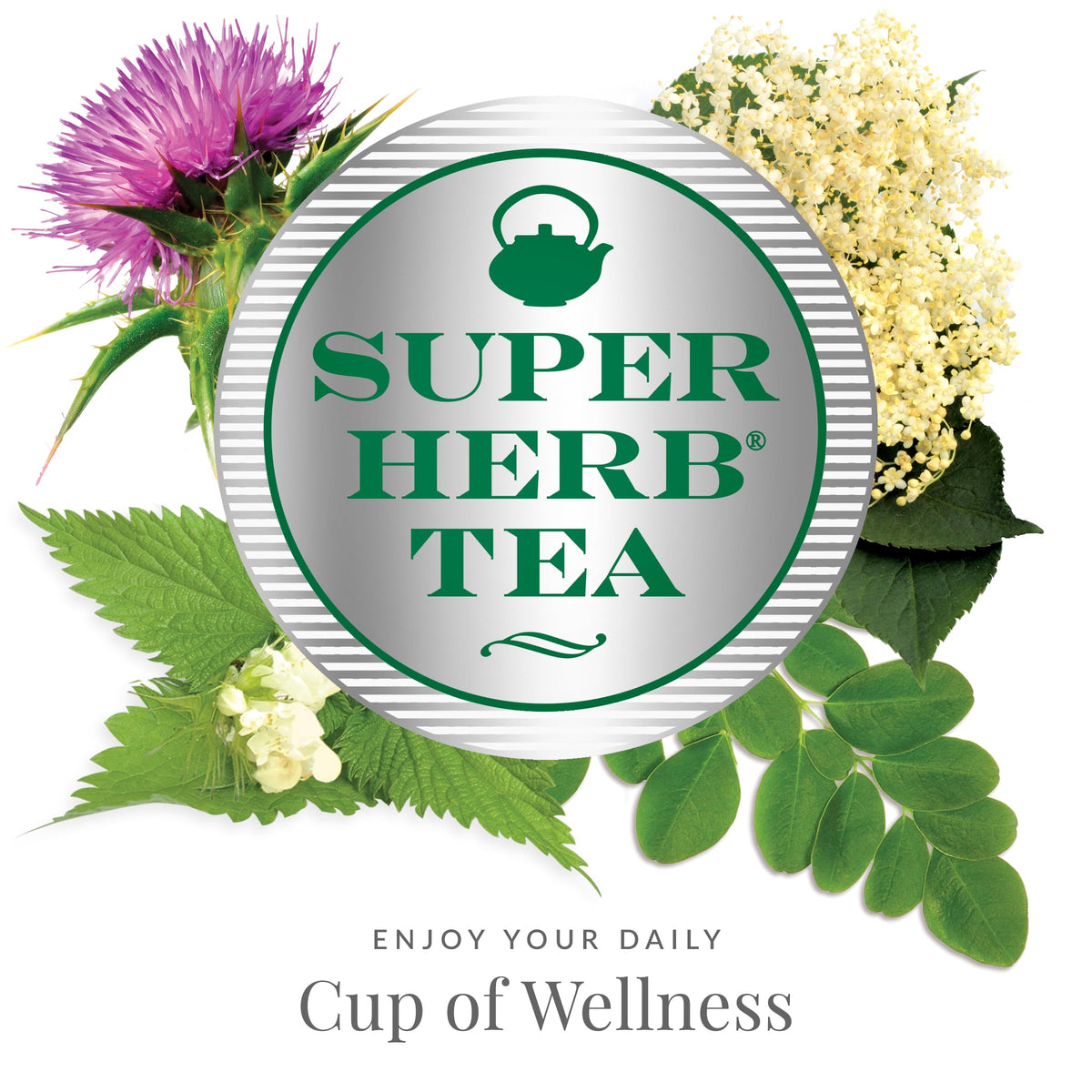 The Republic of Tea nettle tea bag steeping in a cup for cozy moments.