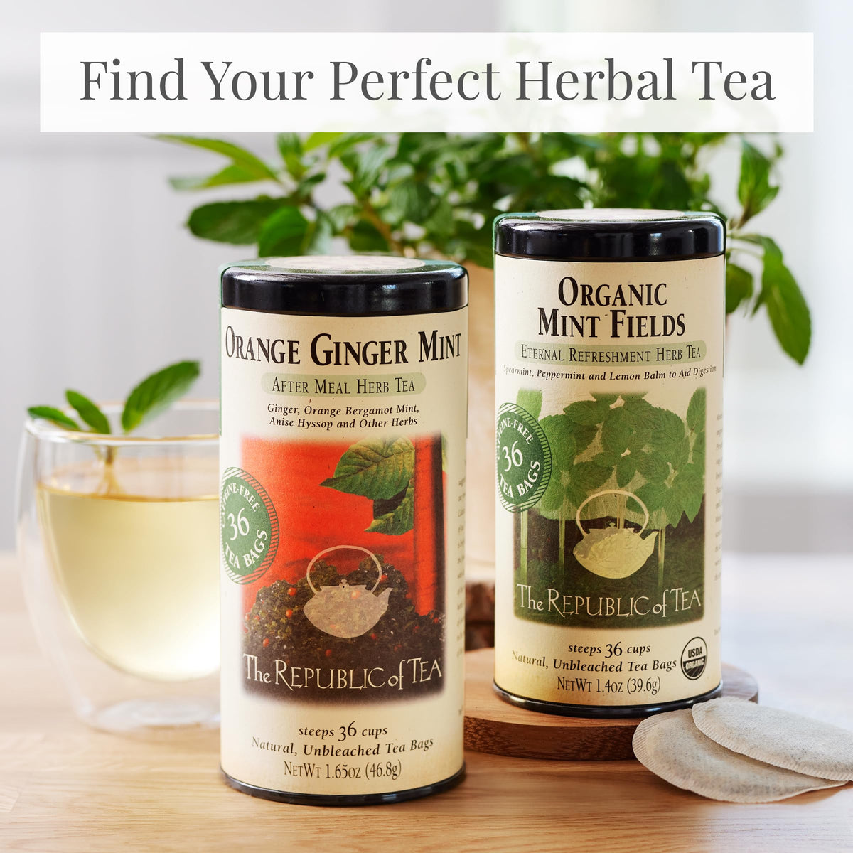 The Republic of Tea Organic Lemon Balm close-up, illustrating soothing herbal aroma.