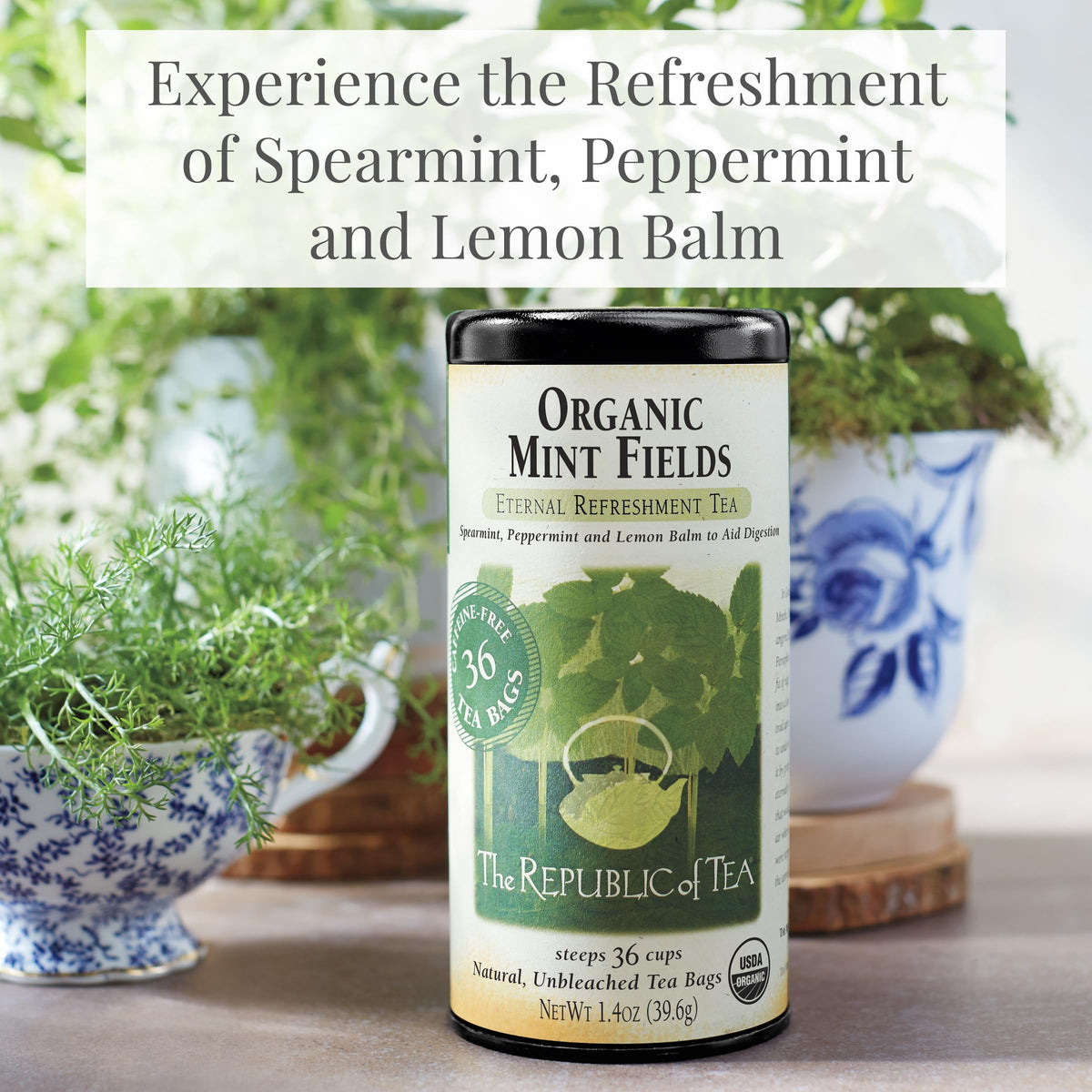 The Republic of Tea Organic Spearmint leaves close-up, highlighting fresh aroma and cooling notes.