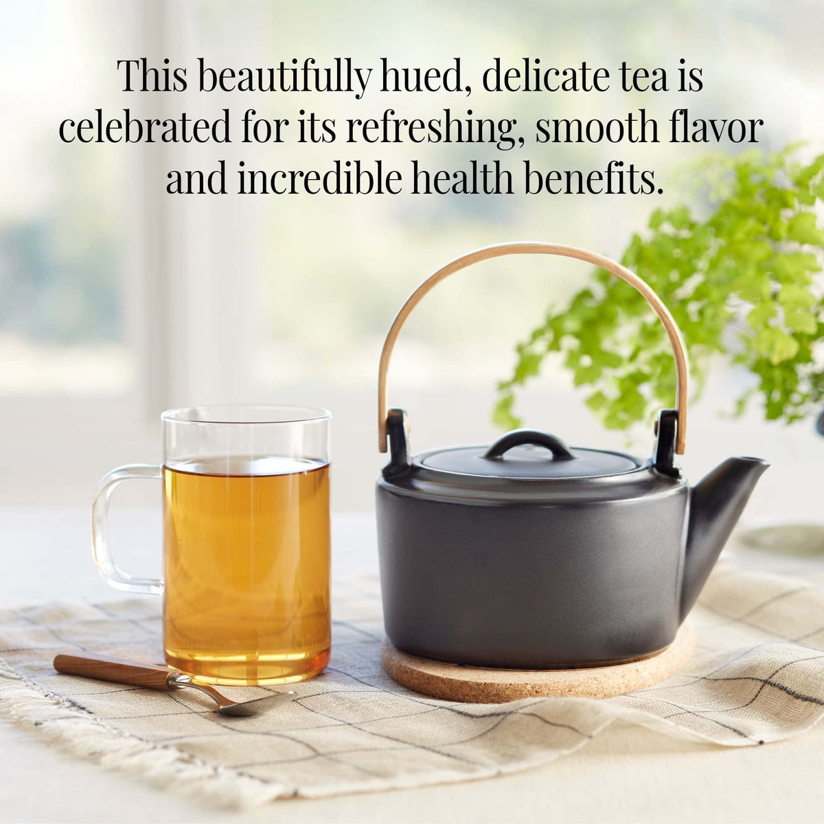 The Republic of Tea Peoples Green Tea tin with gluten-free and sugar-free labeling