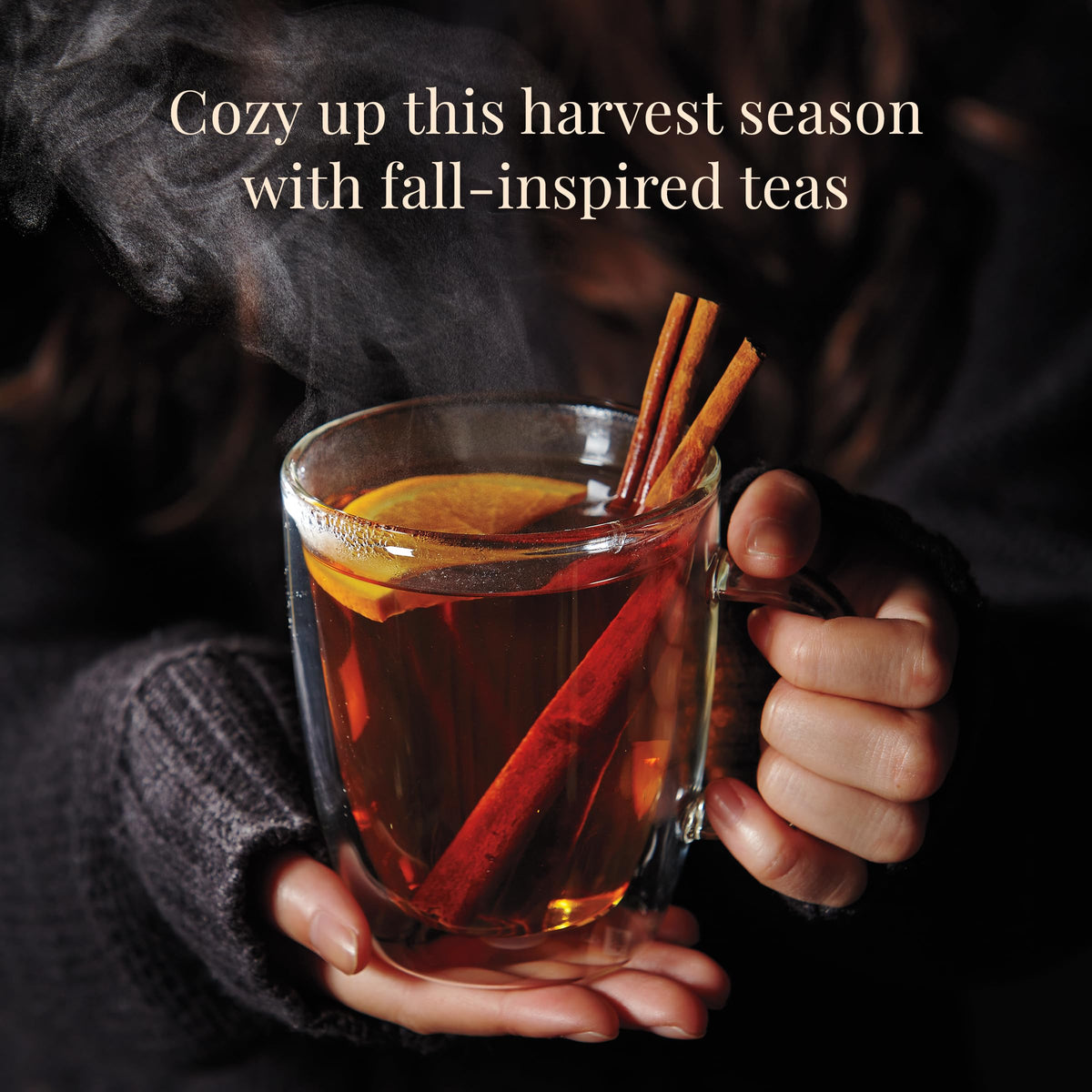 The Republic of Tea Pomegranate Green SuperFruit tea bag, refreshing antioxidant-rich blend.