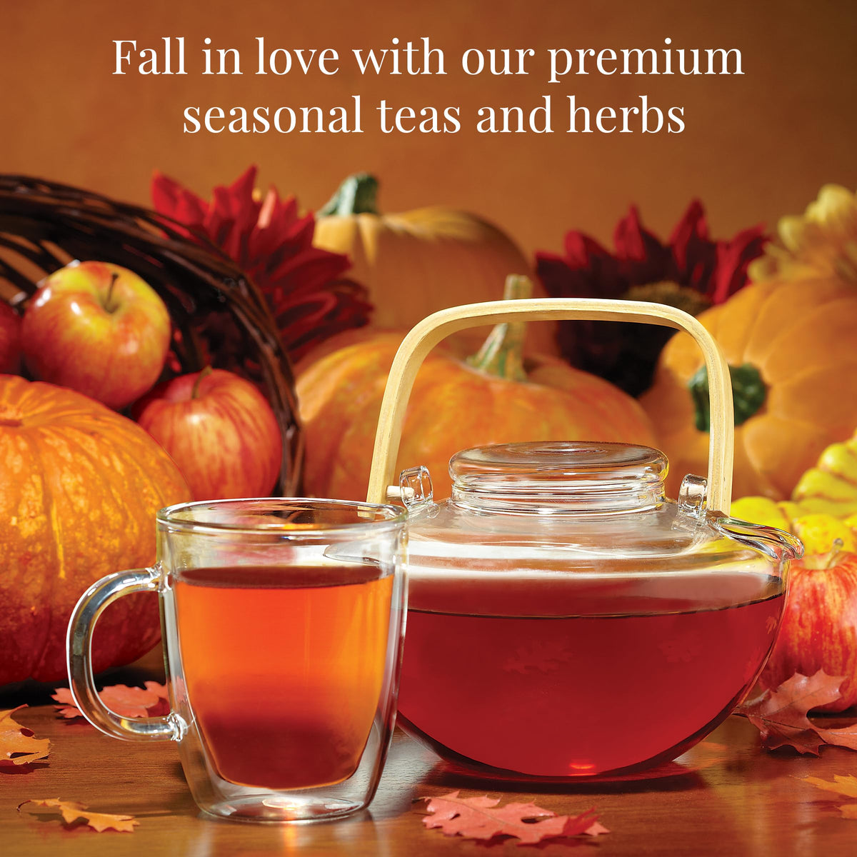 The Republic of Tea Pumpkin Pie Chai Herbal Tea bag, bakery-inspired warmth.