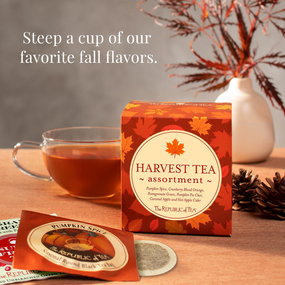 The Republic of Tea Pumpkin Spice Black Tea bag, a warm autumn ritual.