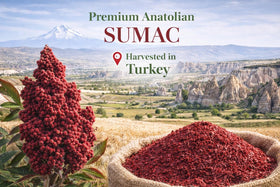 The Snack Haus resealable bag keeps sumac fresh for daily cooking.