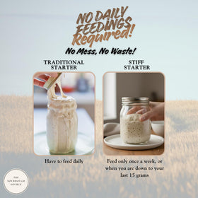 The Sourdough Source artesian mineral water pour for clean hydration