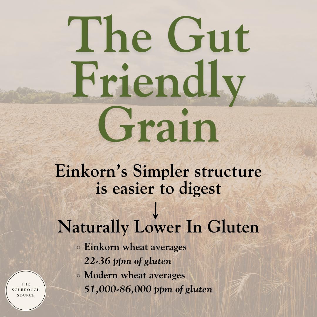The Sourdough Source organic Einkorn flour bowl highlighting purity and fermentation depth