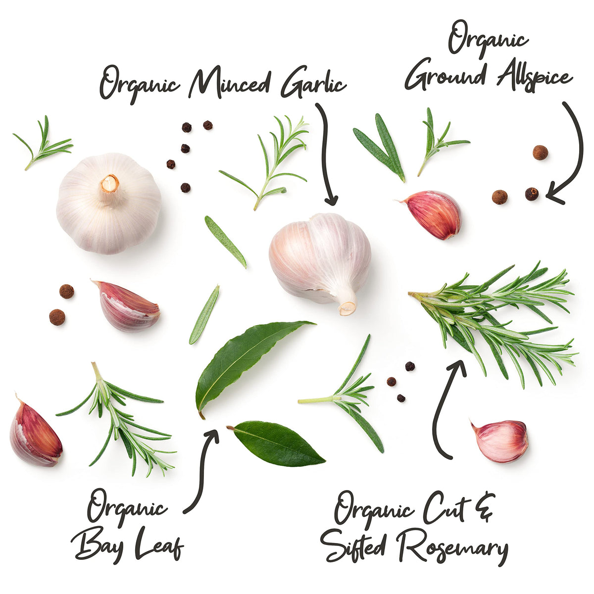 The Spice Lab small batch spices closeup showcases potency and aroma.