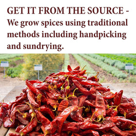 The Spice Way farm-to-table image showcasing fresh herbs in the blend.