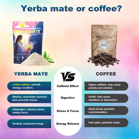 THEANECHO Yerba Mate Peach Mango Tea with prebiotic fiber supports easy digestion