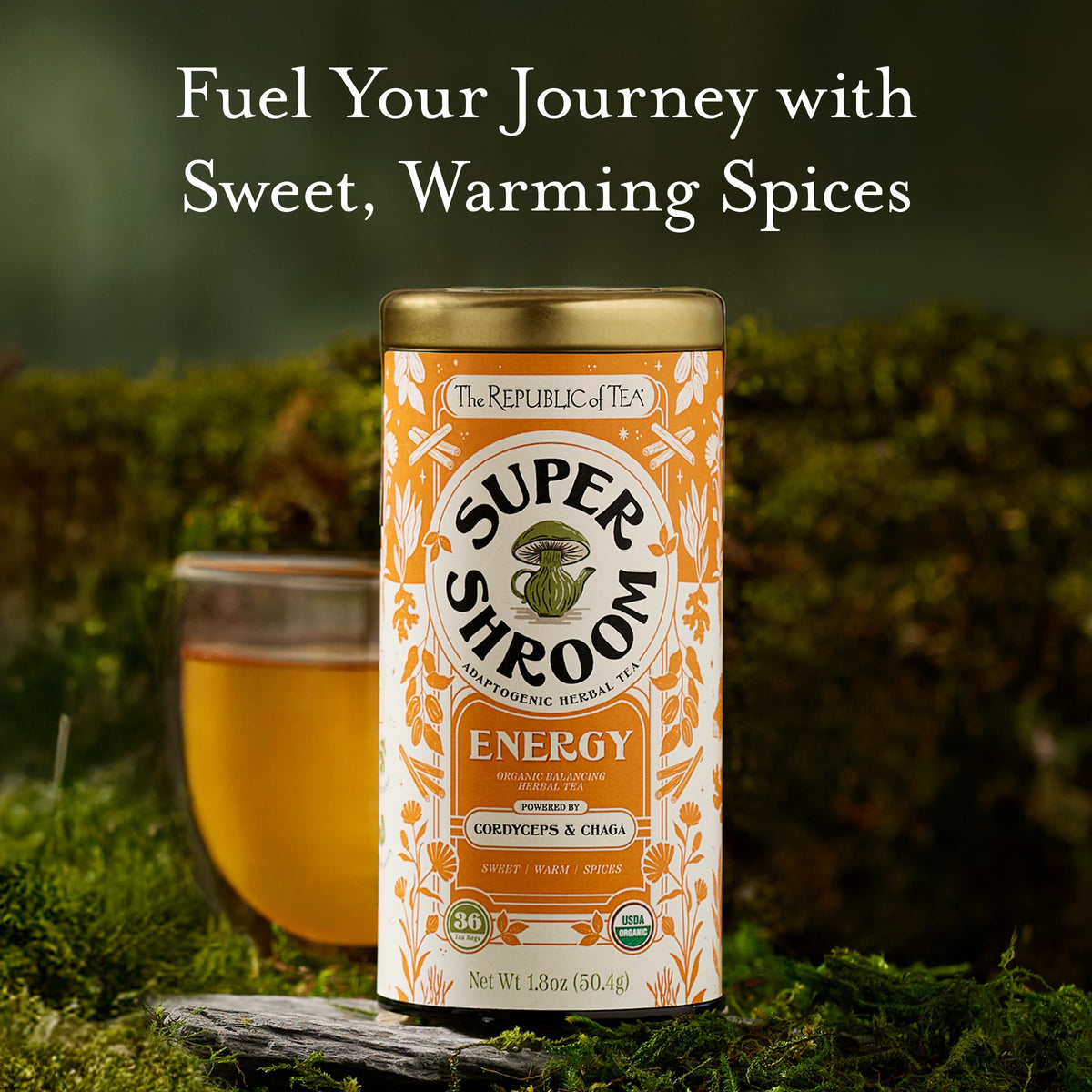 Close-up shows chaga and cordyceps ingredients and organic sourcing.
